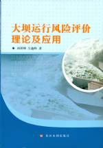大壩運行風險評價理論及應用