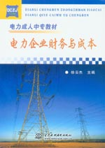 電力企業(yè)財(cái)務(wù)與成本