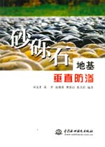 砂礫石地基垂直防滲