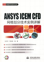 ANSYS ICEM CFD網格劃分技術實例詳解（贈D