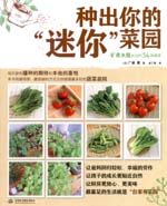 種出你的“迷你”菜園