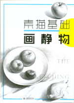 素描基礎  畫靜物