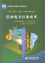 巴西電力行業改革