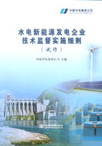 水電新能源發(fā)電企業(yè)技術(shù)監(jiān)督實(shí)施細(xì)則（