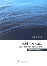 多鐵BiMn2O5及分子磁體(EDT-TSF)2FeCl4等物性的