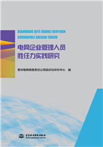 電網(wǎng)企業(yè)管理人員勝任力實踐研究