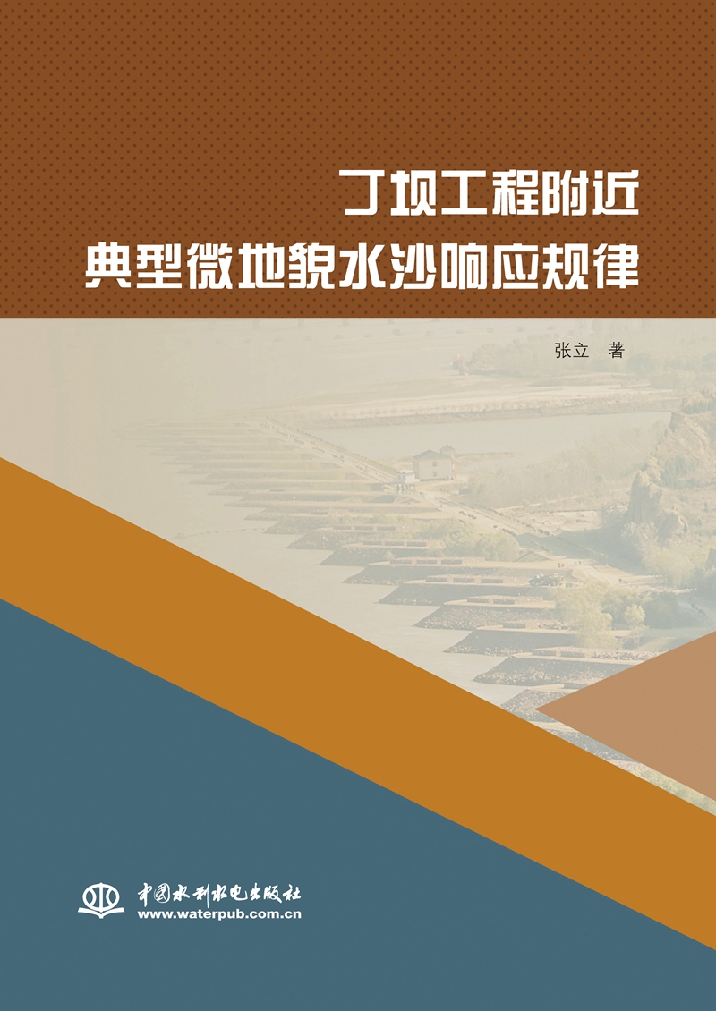 丁壩工程附近典型微地貌水沙響應(yīng)規(guī)律