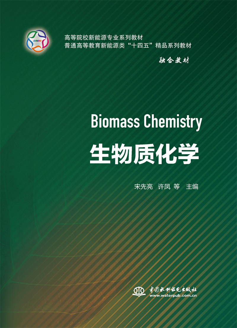 生物質(zhì)化學(xué)(高等院校新能源專業(yè)系列教